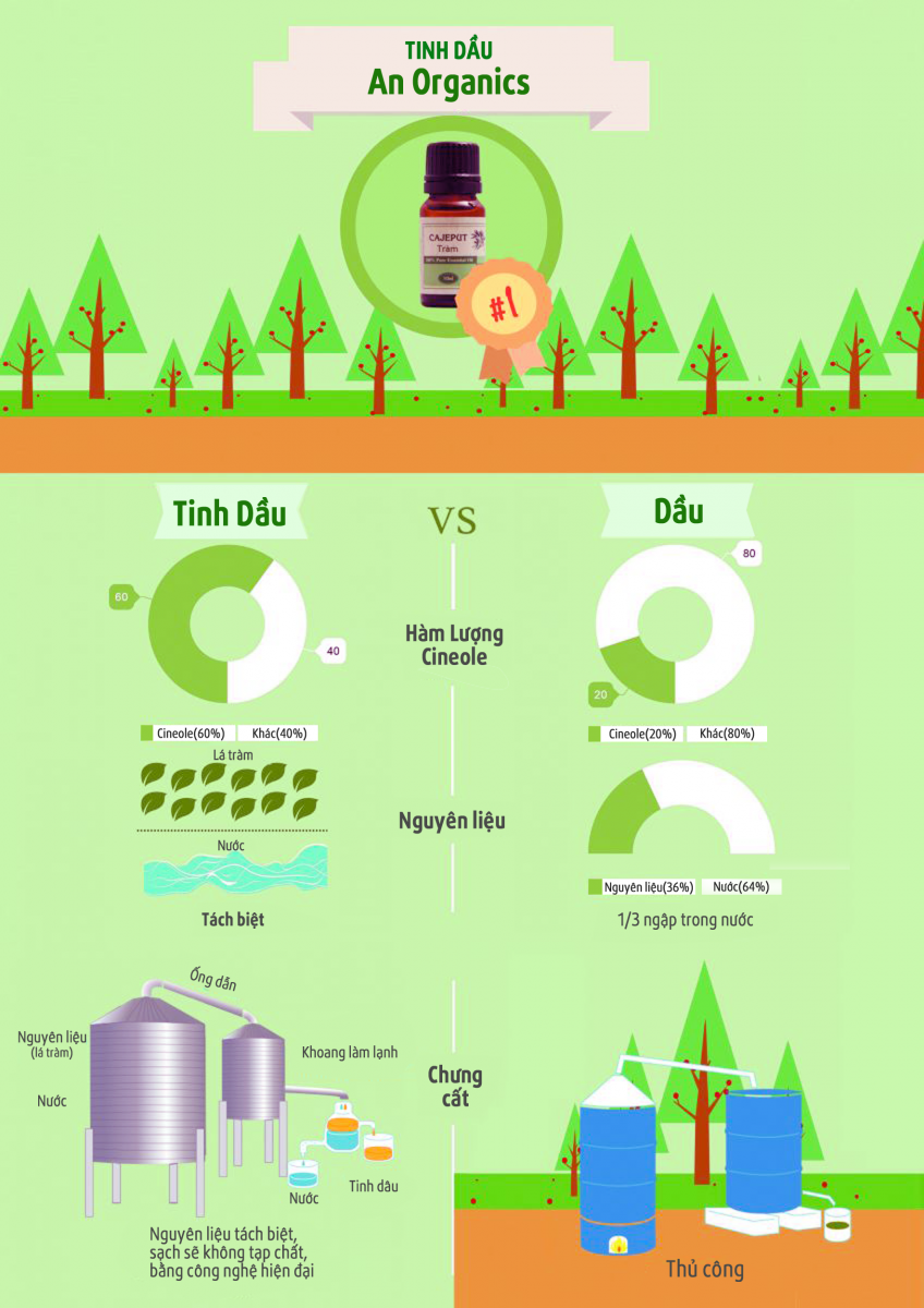 quy trình sản xuất tinh dầu